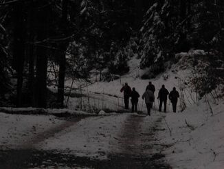Eine Gruppe von emsig stickelnden Nordic Walkern 